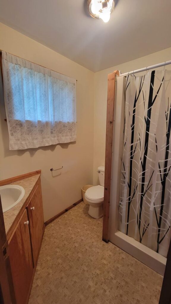 A full bathroom, with a toilet, sink, shower, and window. The corner sink provides some vanity space, and the birch-themed shower curtain ties in with the white lace curtain over the window