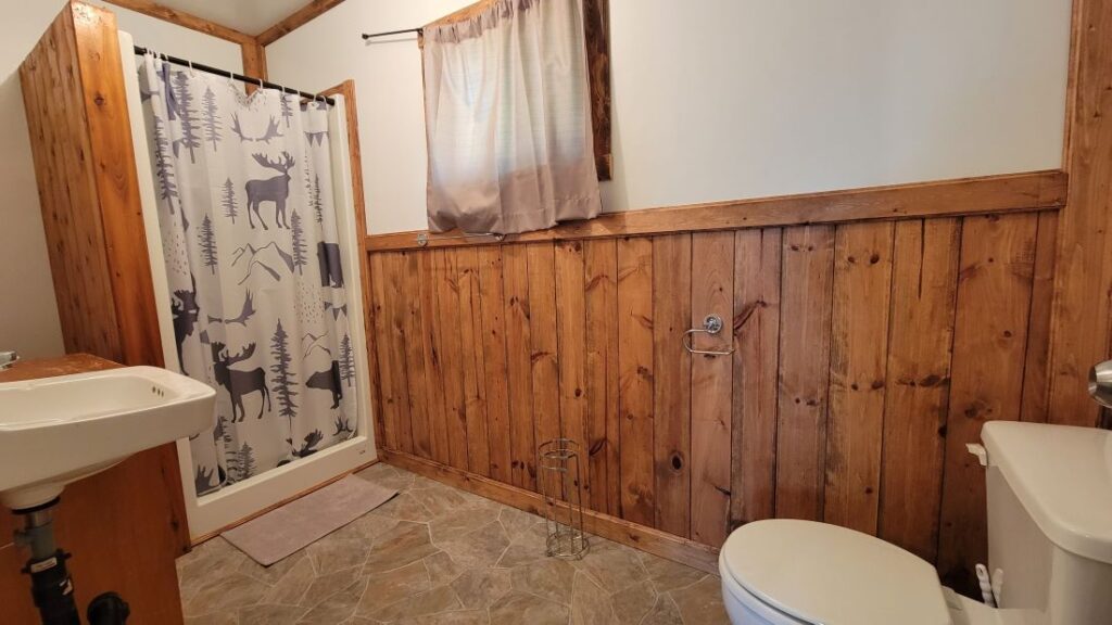 A full bathroom, with a shower, toilet, sink and small countertop. The shower curtain is woodland-themed, and the walls have beautiful half-paneling. There is a window just outside the shower.