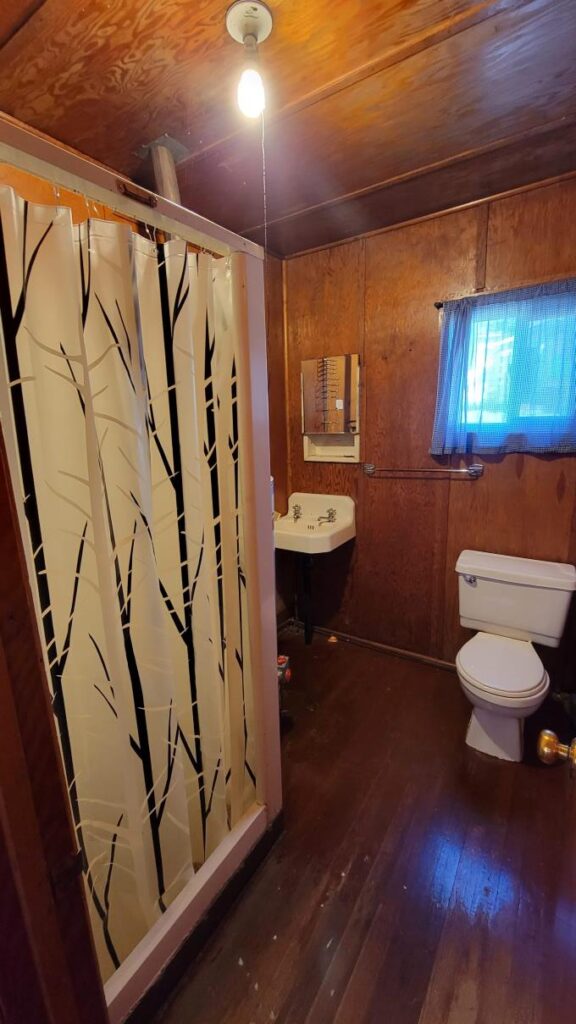 A bathroom, complete with a shower, toilet, sink and mirror. Wooden paneled walls and a birch-print shower curtain reflect surrounding nature.