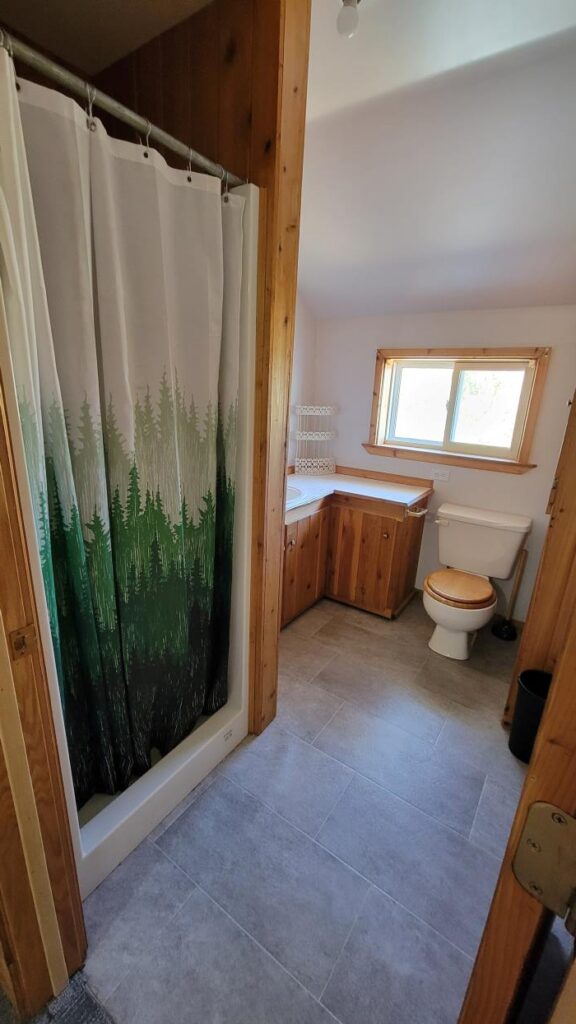 A cozy, clean bathroom. The walk-in shower is covered by a shower curtain with an evergreen treeline pattern, and nearby there is a flushing toilet, as well as a vanity area with counter space. A window, which opens, is above the toilet