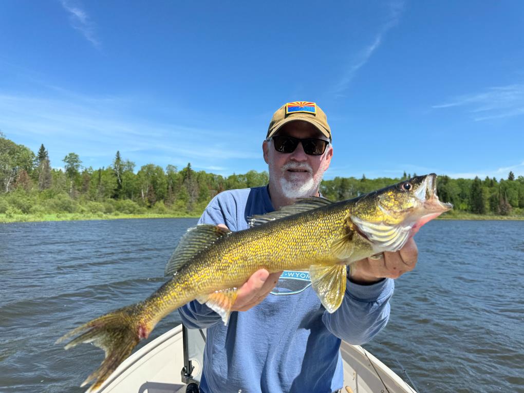 Beautiful, healthy walleye and more waiting for you at Separation Lake Lodge. Stay with us soon!