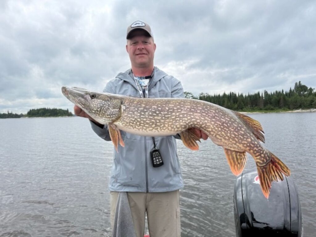 Man holding a ginormous northern pike fishing from a boat on a cloudy day.